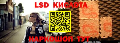 шишки Славгород