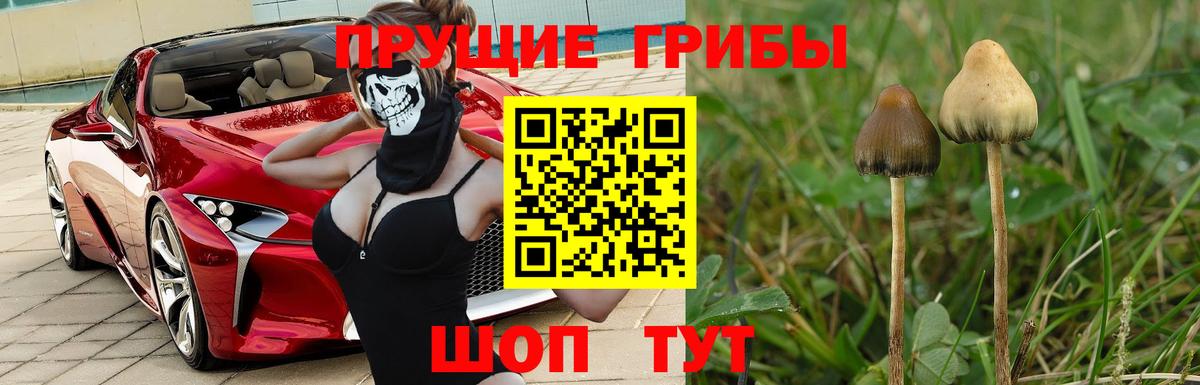 Ногинск  Псилоцибиновые грибы мухоморы  Галлюциногенные грибы Psilocybine cubensis  Вход с VPN 