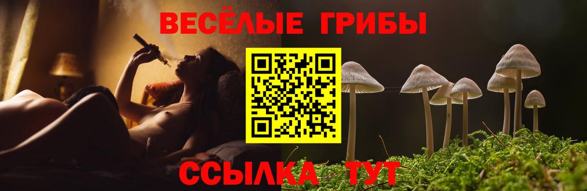 Псилоцибиновые грибы прущие грибы Ногинск